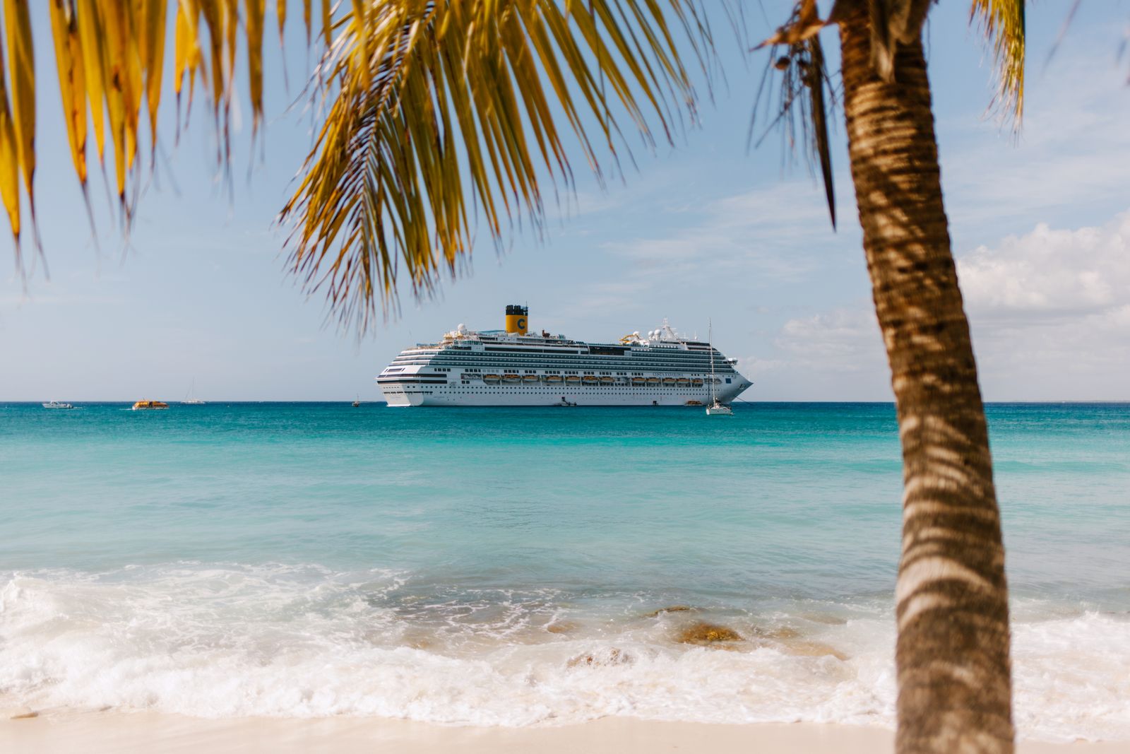 A cruise ship anchored off a palm-lined island beach